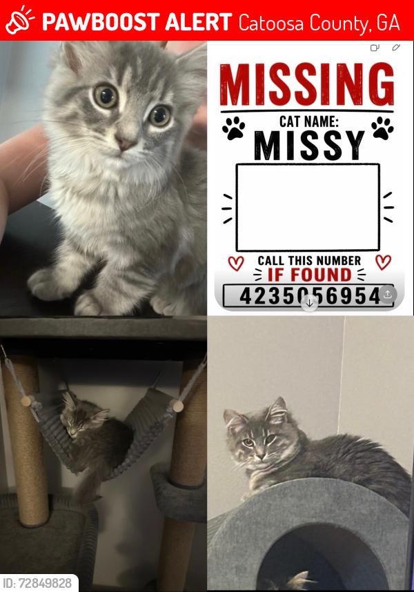 Lost Female Cat last seen Ringgold ga, Catoosa County, GA 30736