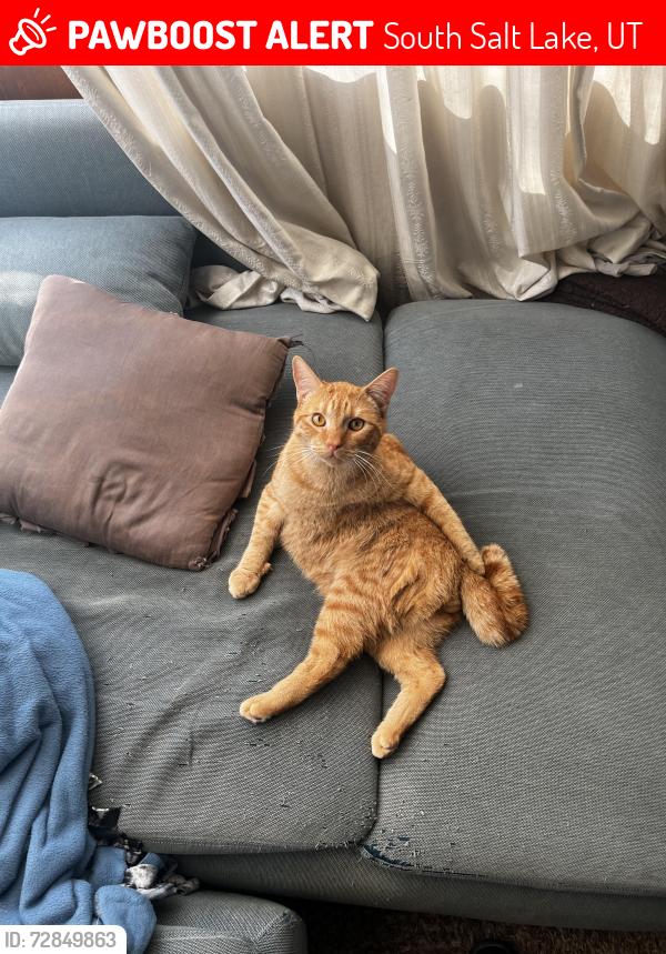 Lost Male Cat last seen 300e and Fenton ave , south salt lake , South Salt Lake, UT 84115