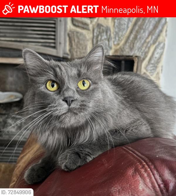 Lost Female Cat last seen St Albert the Great, 32nd Ave South, 31st Ave South, Minneapolis, MN 55407