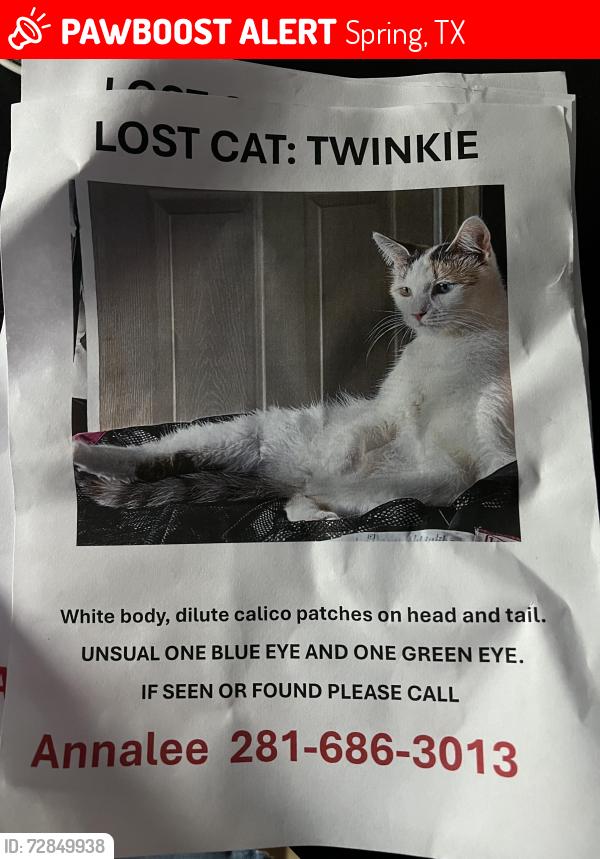 Lost Female Cat last seen Near Forest Dr Spring Tx 77388, Spring, TX 77388