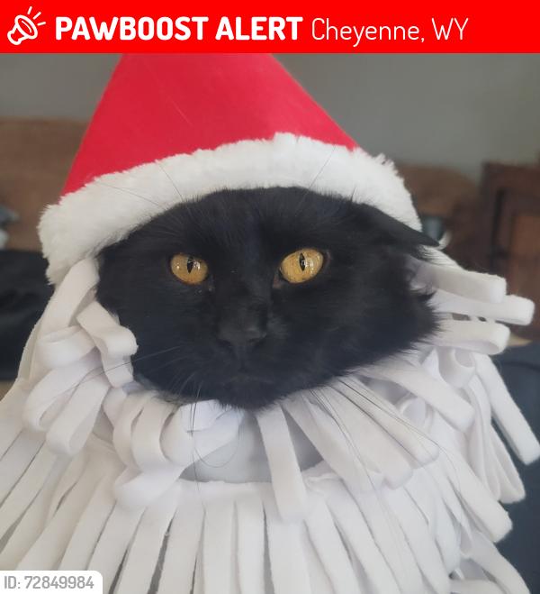 Lost Male Cat last seen Near block Creighton Street, Cheyenne, WY 82009