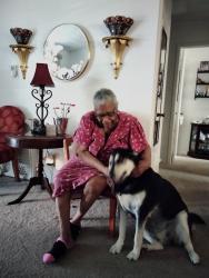 Lost Male Dog last seen WAGON WHEELS , Dallas, TX 75241