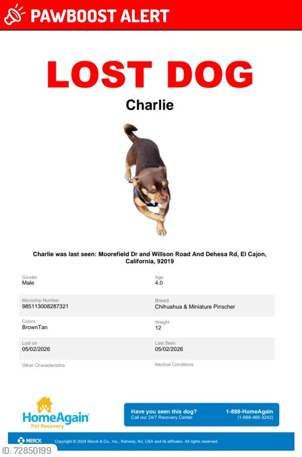 Lost Male Dog last seen MOOREFIELD DRIVE/DEHEASA RD JUST PAST SYCUAN , Harbison Canyon, CA 92019