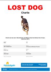 Lost Male Dog last seen MOOREFIELD DRIVE/DEHEASA RD JUST PAST SYCUAN , Harbison Canyon, CA 92019