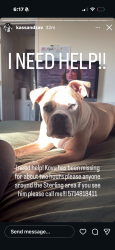 Lost Male Dog last seen Herndon or sterling area by the old bowlero, Sterling, VA 20164