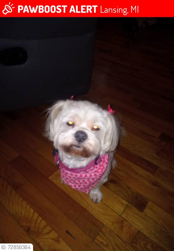 Lost Unknown Dog last seen Mlk Mt Hope intersection , Lansing, MI 48910