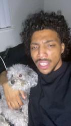 Lost Male Dog last seen Auburn blvd , Sacramento, CA 95821