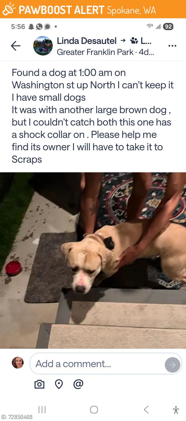 Found/Stray Unknown Dog last seen See photo, Spokane, WA 99209