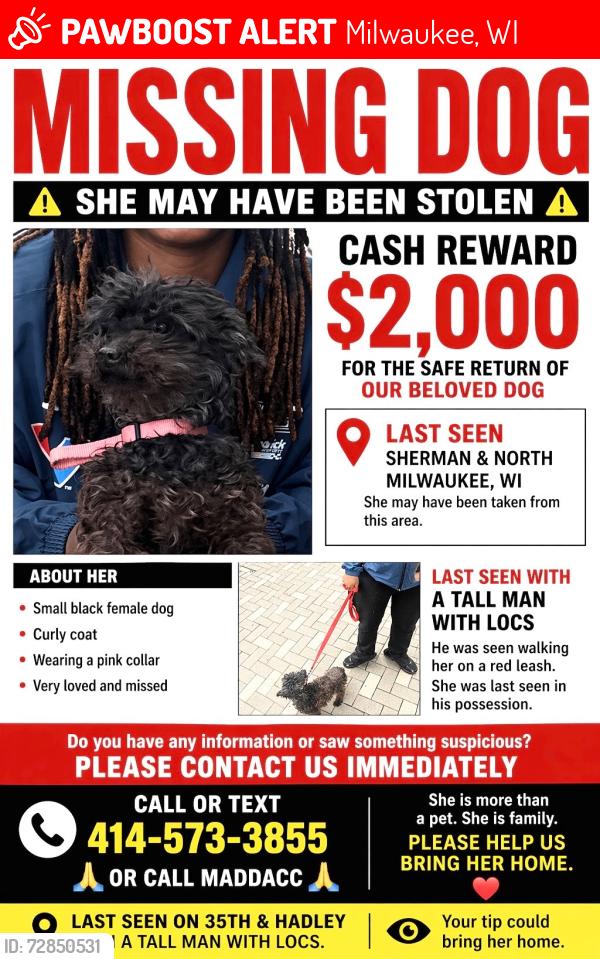 Lost Female Dog last seen Sherman kisbon, Milwaukee, WI 53208