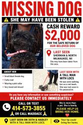 Lost Female Dog last seen Sherman kisbon, Milwaukee, WI 53208