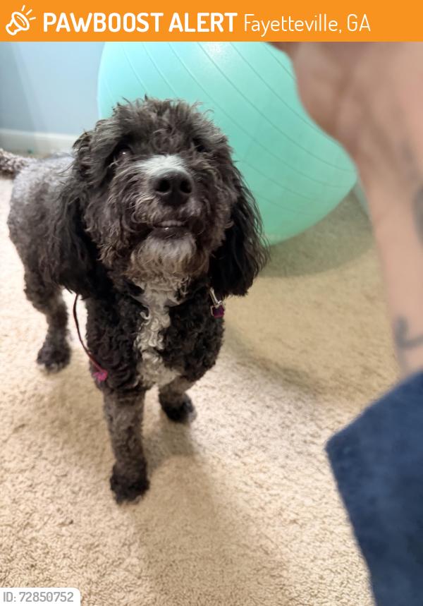 Found/Stray Female Dog last seen Old Norton and Cottage Cir , Fayetteville, GA 30215