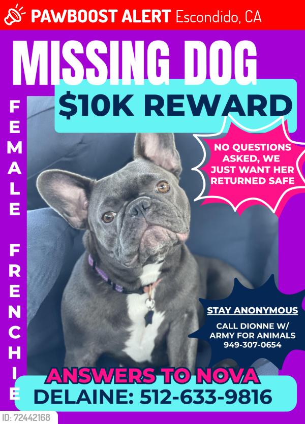 Lost Female Dog last seen Sunset Dr, Escondido, CA, Escondido, CA 92025