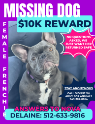 Lost Female Dog last seen Sunset Dr, Escondido, CA, Escondido, CA 92025