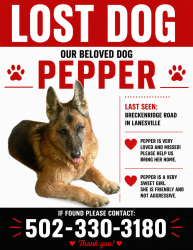 Lost Female Dog last seen Crestview Dr. , Lanesville, IN 47136