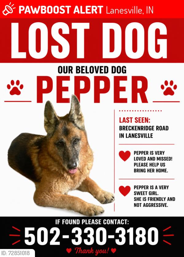 Lost Female Dog last seen Crestview Dr. , Lanesville, IN 47136