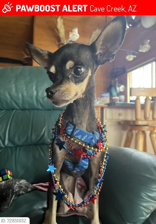 Lost Female Dog last seen The Boulders, Cave Creek, AZ 85331