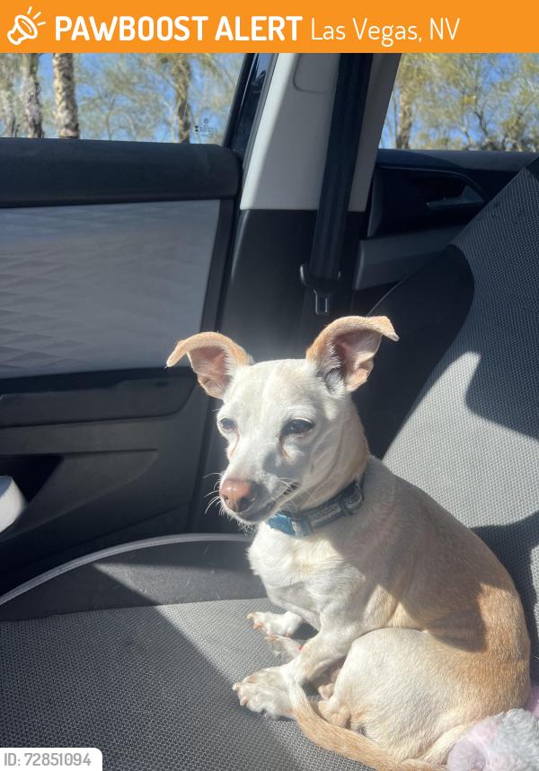 Found/Stray Male Dog last seen Mesa Park , Las Vegas, NV 89135