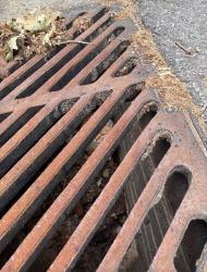 Found/Stray Unknown Cat last seen In between Wyndham drive and autumn drive, across from green hse and fire hydrant, Carrboro, NC 27516