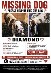 Lost Female Dog last seen Near st, Oakland, CA 94607