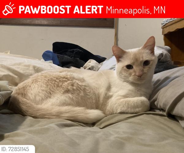 Lost Female Cat last seen Near 27th Ave S, Minneapolis, MN 55406