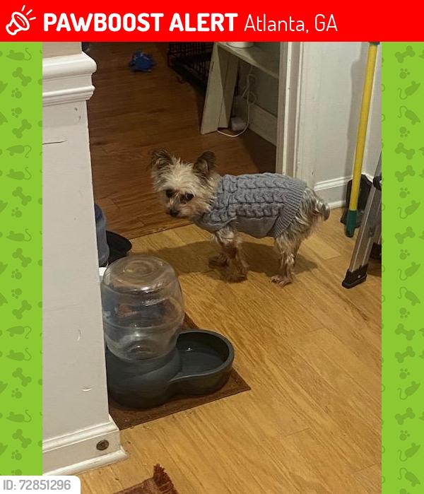 Lost Male Dog last seen Cascade Road and New Hope Road, Atlanta, GA 30311