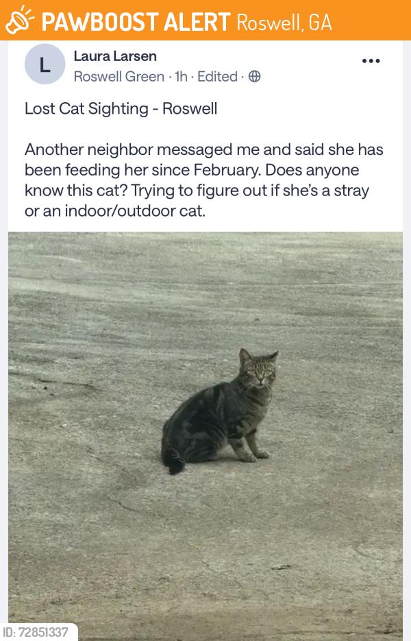 Found/Stray Unknown Cat last seen Roswell Green, Roswell, GA 30075