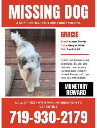 Lost Female Dog last seen Himalaya and Jericho, Aurora, CO 80013