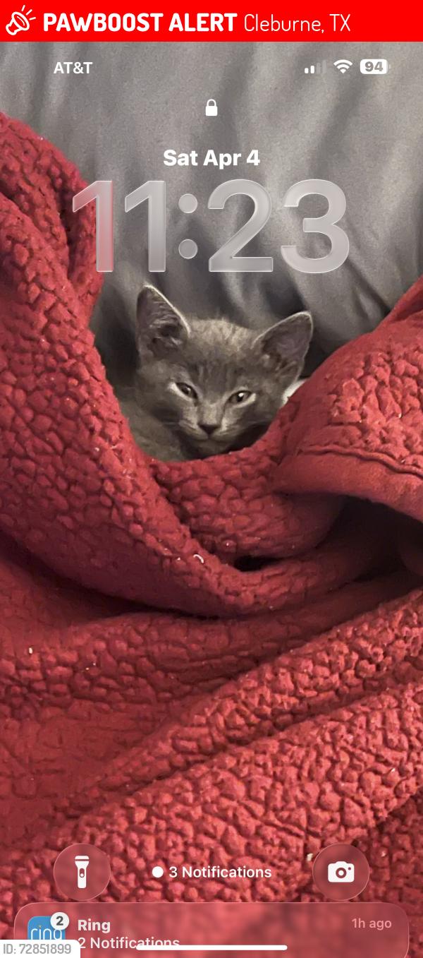 Lost Male Cat last seen Ridgeway dr, Cleburne, TX 76033