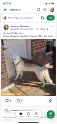 Reunited Male Dog last seen Marvida , Mira mesa, Houston, TX 77433