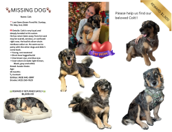 Lost Male Dog last seen Dunlap, tn, Dunlap, TN 37327