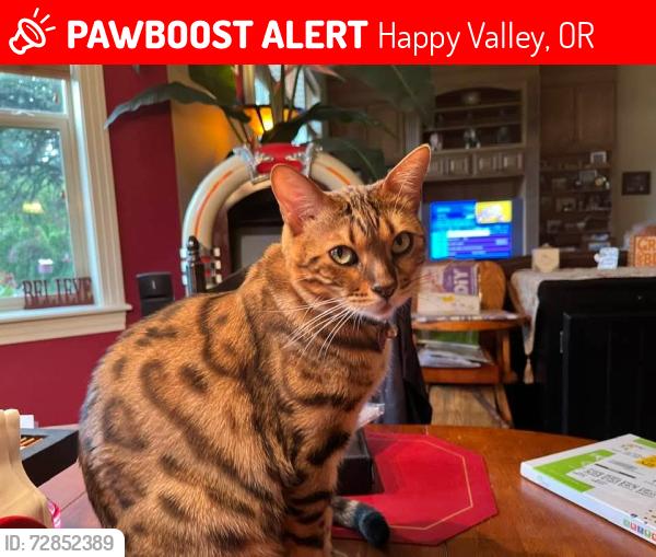 Lost Female Cat last seen SE Walnut Dr, Happy Valley, OR 97086