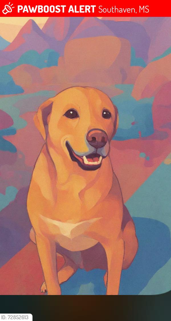 Lost Male Dog last seen Ran during thunderstorms, Southaven, MS 38671
