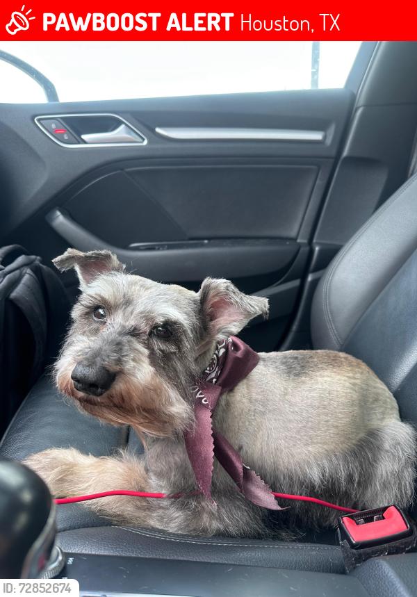 Lost Male Dog last seen Near , Houston, TX 77050