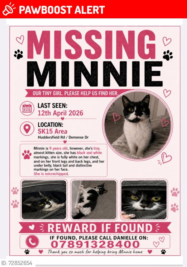 Lost Female Cat last seen St Paul's Church Stalybridge, Greater Manchester, England SK15 2NZ