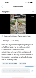 Found/Stray Male Dog last seen Roce Street, San Antonio, TX 78240