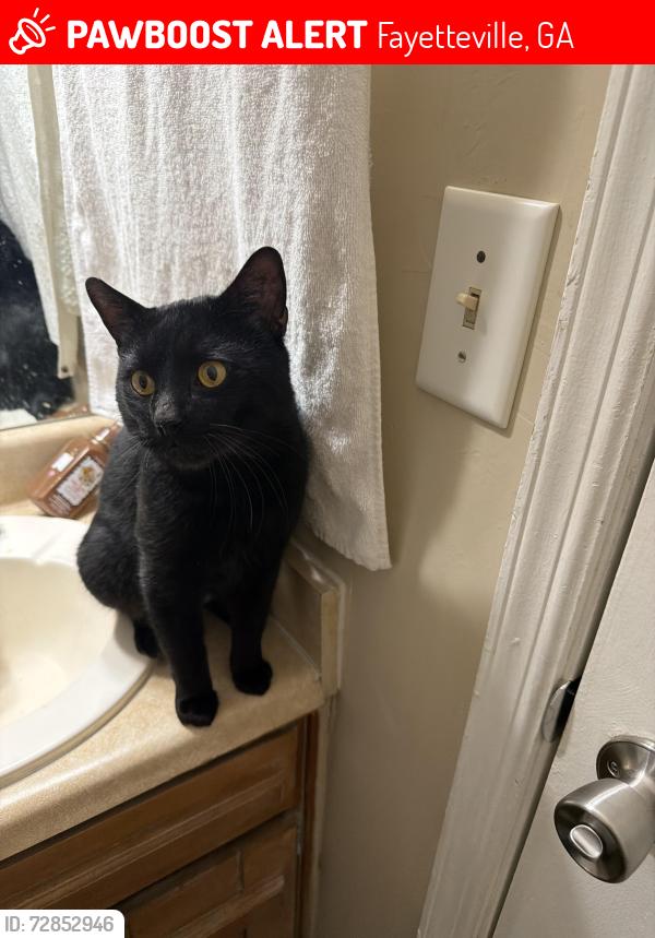 Lost Male Cat last seen Ga-134, Fayetteville, GA 30215
