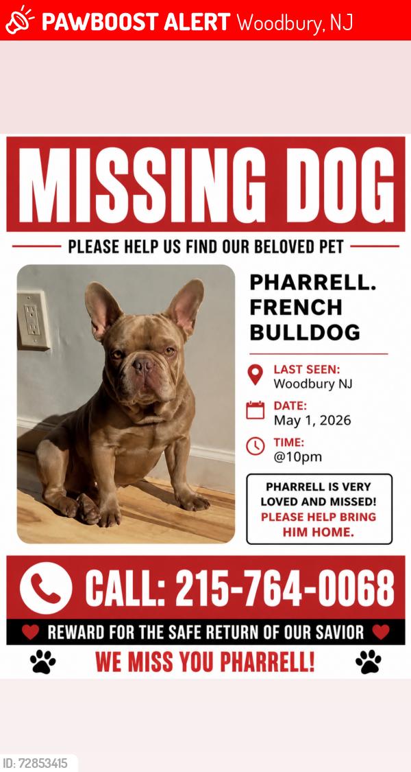 Lost Male Dog last seen Briar Hill Ln., Woodbury NJ, Woodbury, NJ 08096