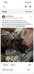 Lost Female Dog last seen She lives at 718 Victoria Station, Arlington, TX 76017