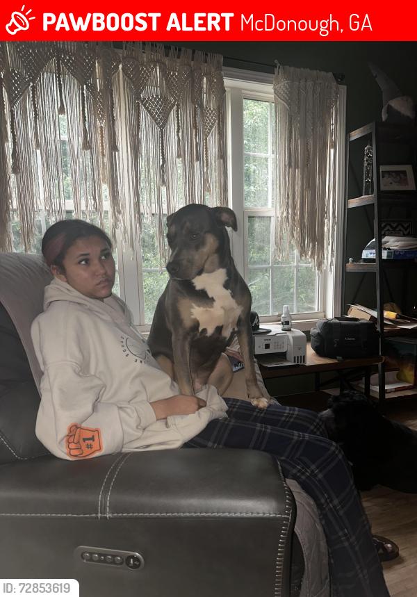 Lost Female Dog last seen Airline Rd and McGarity Rd, McDonough, GA 30252