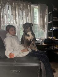 Lost Female Dog last seen Airline Rd and McGarity Rd, McDonough, GA 30252
