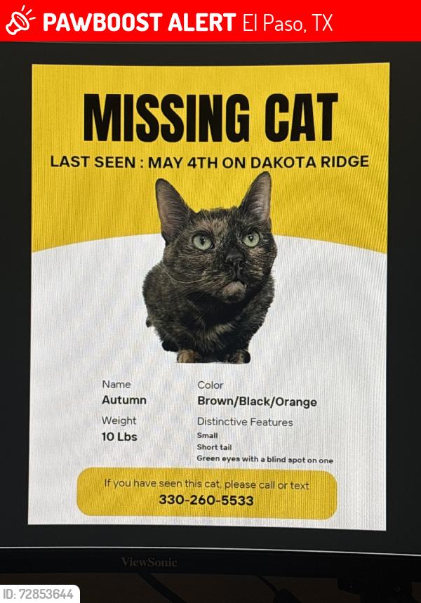Lost Female Cat last seen On Dakota Ridge, El Paso, TX 79912