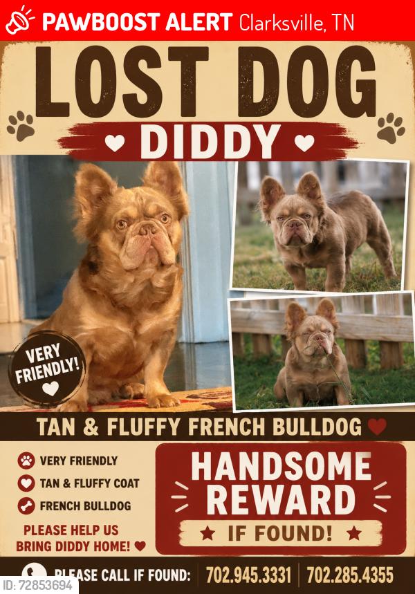 Lost Male Dog last seen Juniper pass, Clarksville, TN 37043