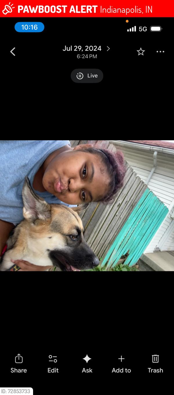 Lost Female Dog last seen Lynn st and saint Clair , Indianapolis, IN 46222