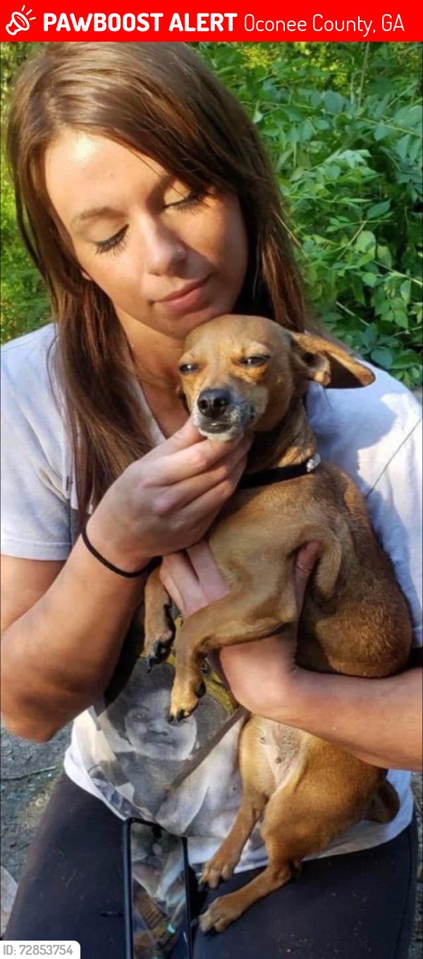 Lost Female Dog last seen Near Saxon rd., Oconee County, GA 30677