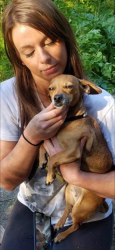 Lost Female Dog last seen Near Saxon rd., Oconee County, GA 30677