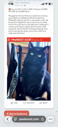 Lost Male Cat last seen 35th ave and Bethany  rd , Phoenix, AZ 85017