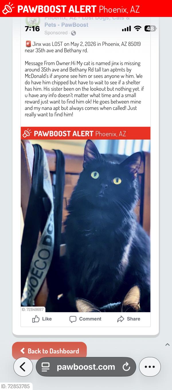 Lost Male Cat last seen 35th ave and Bethany  rd , Phoenix, AZ 85017