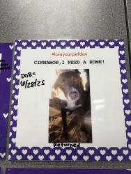 Lost Male Dog last seen Sweetwater Primary School , Sweetwater, TN 37874