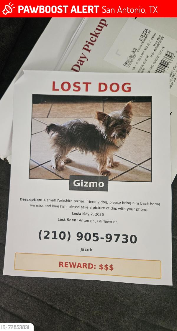 Lost Male Dog last seen Anton Dr. , San Antonio, TX 78223