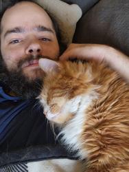 Reunited Male Cat last seen Eagle drive, Stewartville, MN 55976